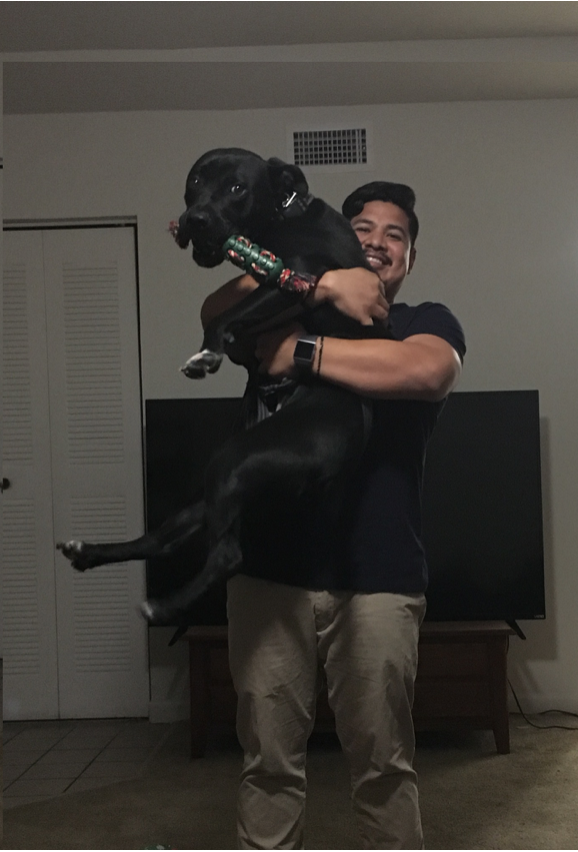 Swim Instructor Profile Image: Rob W.